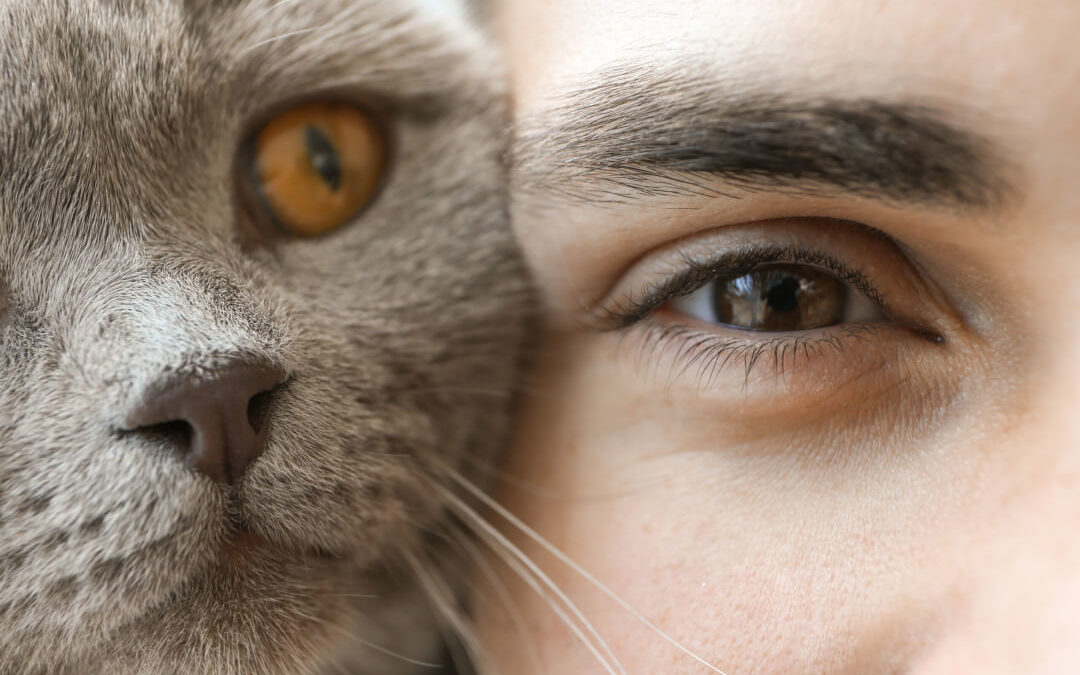 5 Tipps gegen Geruchsbildung im Katzenklo
