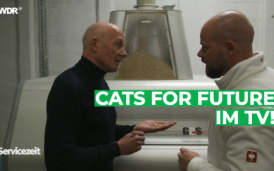 Cats for Future im TV!